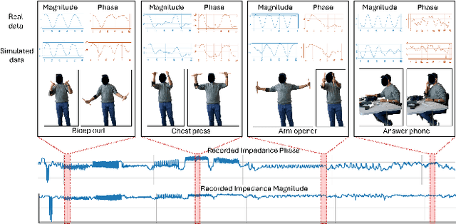 Figure 1 for SImpHAR: Advancing impedance-based human activity recognition using 3D simulation and text-to-motion models