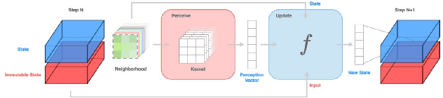 Figure 1 for A Path to Universal Neural Cellular Automata