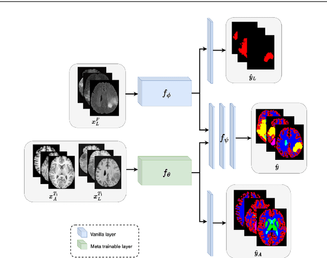 Figure 1 for Learning to segment anatomy and lesions from disparately labeled sources in brain MRI