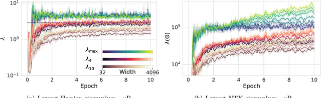 Figure 3 for Why do Learning Rates Transfer? Reconciling Optimization and Scaling Limits for Deep Learning