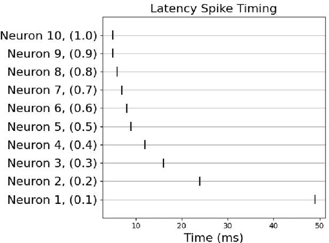 Figure 1 for A Practical Guide to Tuning Spiking Neuronal Dynamics