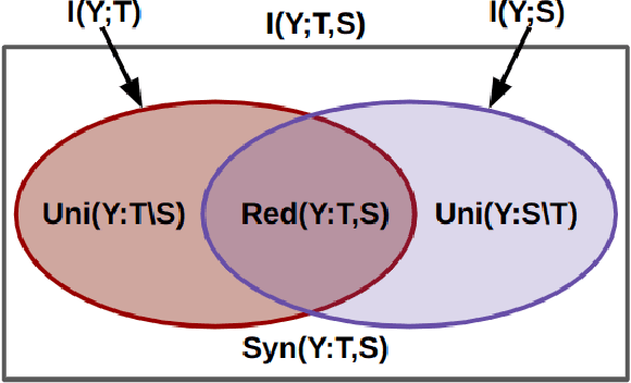 Figure 2 for Quantifying Knowledge Distillation Using Partial Information Decomposition