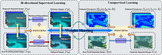 Figure 3 for Physics-Aware Semi-Supervised Underwater Image Enhancement