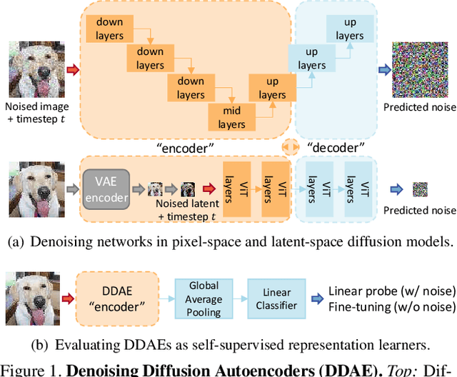 Figure 1 for Denoising Diffusion Autoencoders are Unified Self-supervised Learners