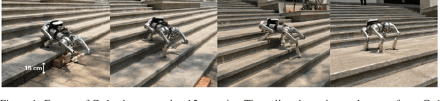Figure 1 for GROQLoco: Generalist and RObot-agnostic Quadruped Locomotion Control using Offline Datasets