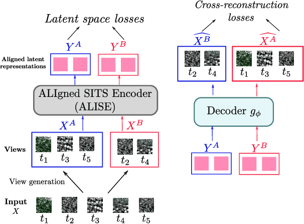 Figure 1 for Paving the way toward foundation models for irregular and unaligned Satellite Image Time Series