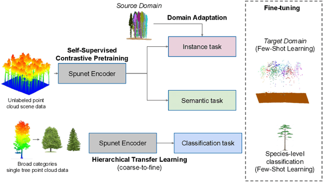 Figure 2 for Label-Efficient 3D Forest Mapping: Self-Supervised and Transfer Learning for Individual, Structural, and Species Analysis