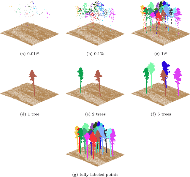Figure 4 for Label-Efficient 3D Forest Mapping: Self-Supervised and Transfer Learning for Individual, Structural, and Species Analysis
