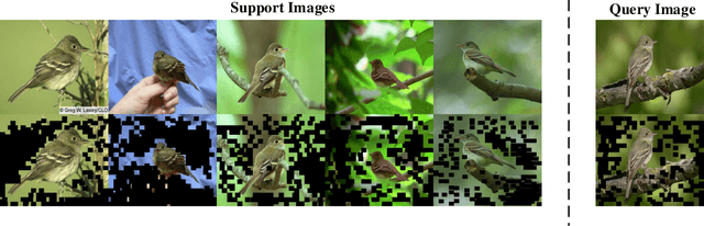 Figure 3 for Local Descriptors Weighted Adaptive Threshold Filtering For Few-Shot Learning