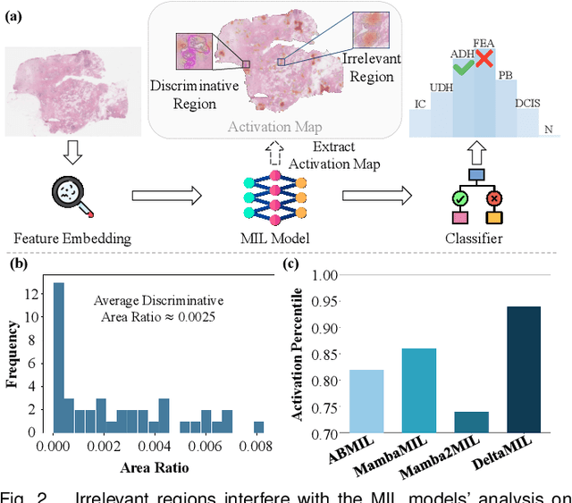 Figure 2 for DeltaMIL: Gated Memory Integration for Efficient and Discriminative Whole Slide Image Analysis