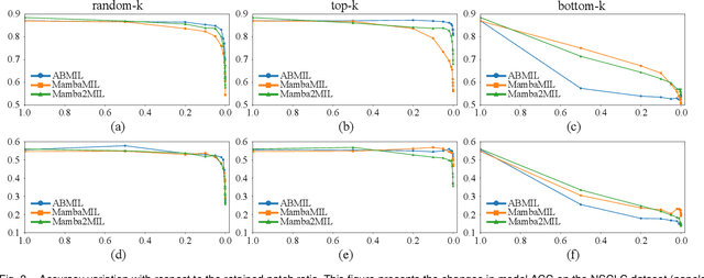 Figure 3 for DeltaMIL: Gated Memory Integration for Efficient and Discriminative Whole Slide Image Analysis