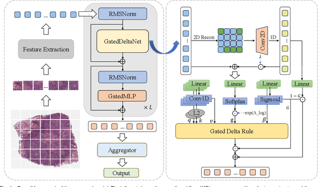 Figure 4 for DeltaMIL: Gated Memory Integration for Efficient and Discriminative Whole Slide Image Analysis