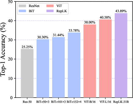 Figure 3 for Revealing the Dark Secrets of Extremely Large Kernel ConvNets on Robustness