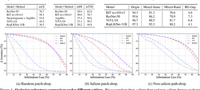 Figure 4 for Revealing the Dark Secrets of Extremely Large Kernel ConvNets on Robustness