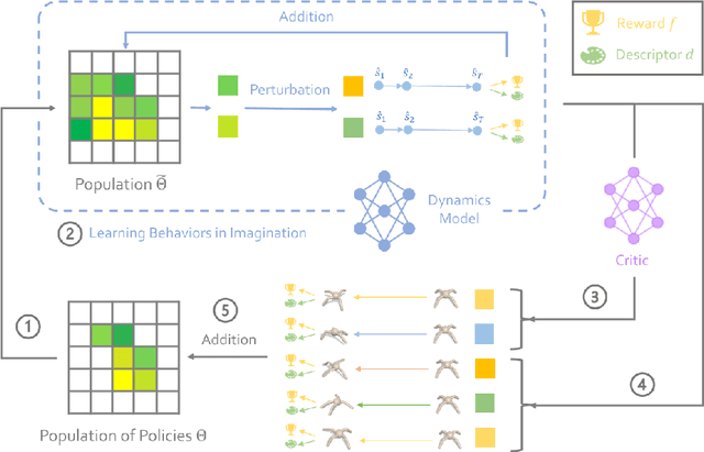 Figure 1 for Efficient Exploration using Model-Based Quality-Diversity with Gradients