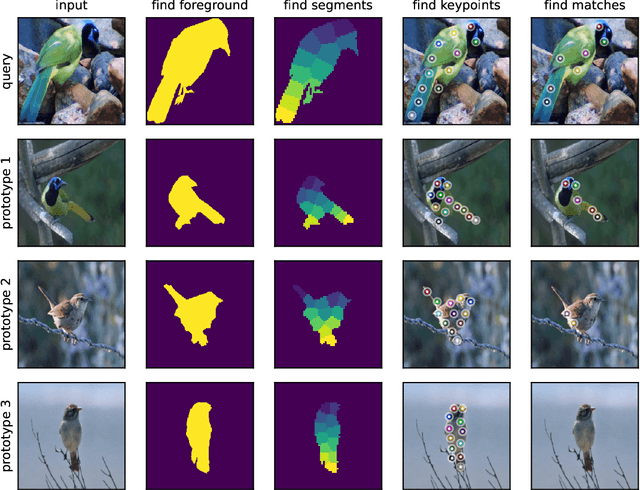 Figure 3 for Keypoint Counting Classifiers: Turning Vision Transformers into Self-Explainable Models Without Training