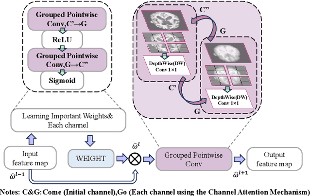 Figure 1 for DCL-SE: Dynamic Curriculum Learning for Spatiotemporal Encoding of Brain Imaging