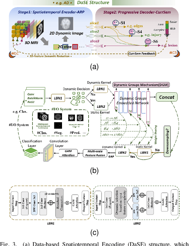 Figure 4 for DCL-SE: Dynamic Curriculum Learning for Spatiotemporal Encoding of Brain Imaging