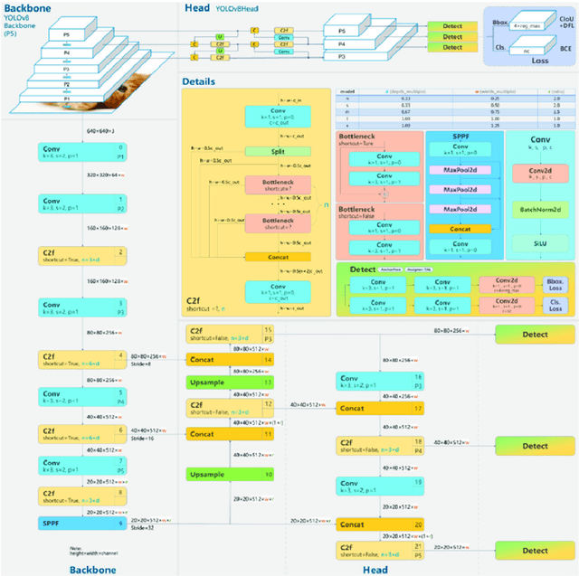Figure 1 for YOLOv8-Based Visual Detection of Road Hazards: Potholes, Sewer Covers, and Manholes