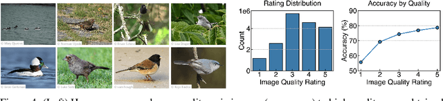 Figure 4 for CleverBirds: A Multiple-Choice Benchmark for Fine-grained Human Knowledge Tracing