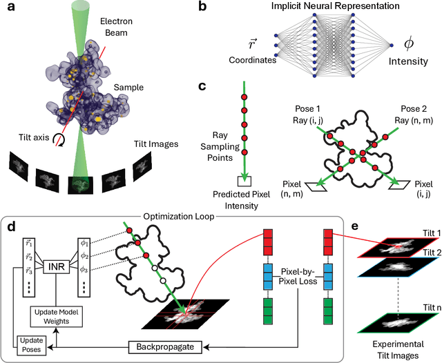Figure 1 for Missing Wedge Inpainting and Joint Alignment in Electron Tomography through Implicit Neural Representations
