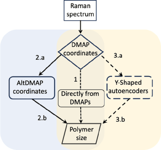 Figure 1 for Nonlinear Manifold Learning Determines Microgel Size from Raman Spectroscopy