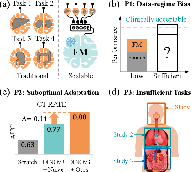 Figure 1 for Revisiting 2D Foundation Models for Scalable 3D Medical Image Classification