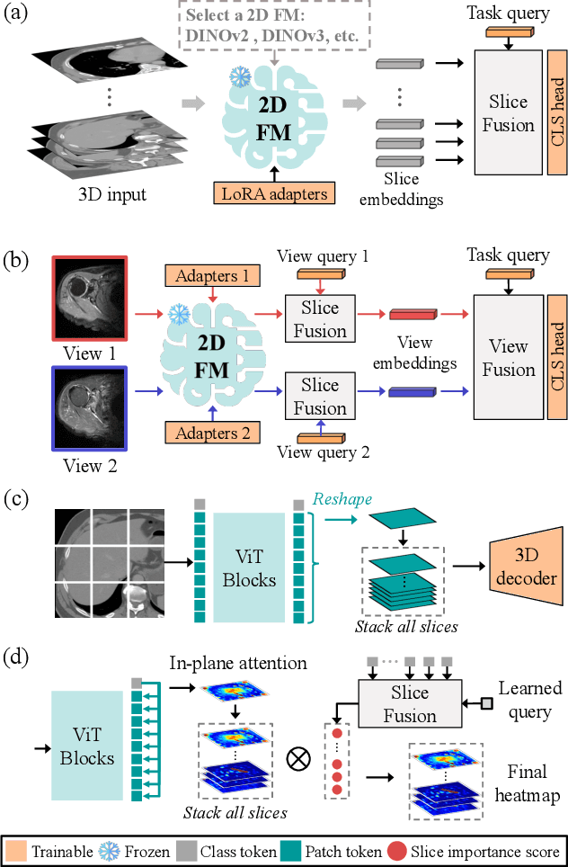 Figure 3 for Revisiting 2D Foundation Models for Scalable 3D Medical Image Classification