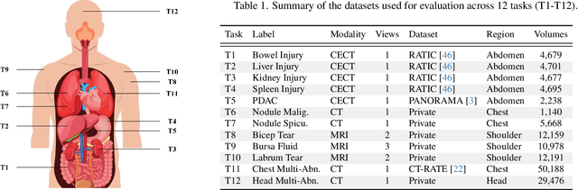 Figure 2 for Revisiting 2D Foundation Models for Scalable 3D Medical Image Classification