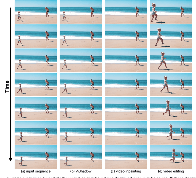 Figure 1 for Video Instance Shadow Detection