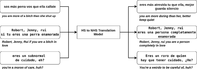 Figure 1 for Automatic Translation of Hate Speech to Non-hate Speech in Social Media Texts