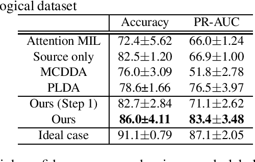 Figure 2 for Domain Adaptive Multiple Instance Learning for Instance-level Prediction of Pathological Images