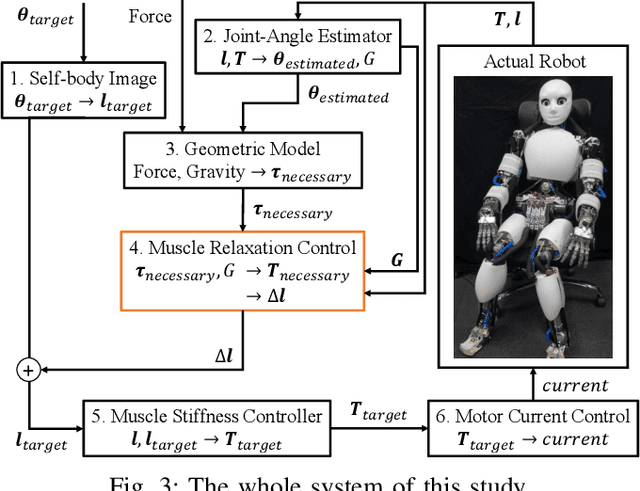 Figure 3 for Reflex-based Motion Strategy of Musculoskeletal Humanoids under Environmental Contact Using Muscle Relaxation Control