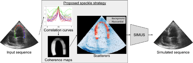 Figure 2 for Generation of realistic cardiac ultrasound sequences with ground truth motion and speckle decorrelation