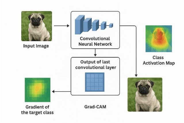 Figure 4 for A Comparative Study of YOLOv8 to YOLOv11 Performance in Underwater Vision Tasks