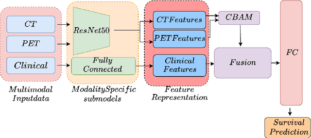 Figure 1 for Enhanced Survival Prediction in Head and Neck Cancer Using Convolutional Block Attention and Multimodal Data Fusion
