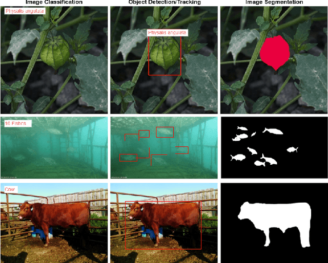 Figure 3 for AI in Agriculture: A Survey of Deep Learning Techniques for Crops, Fisheries and Livestock