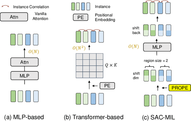Figure 1 for SAC-MIL: Spatial-Aware Correlated Multiple Instance Learning for Histopathology Whole Slide Image Classification