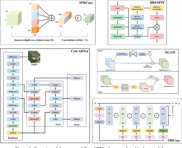 Figure 1 for Cott-ADNet: Lightweight Real-Time Cotton Boll and Flower Detection Under Field Conditions