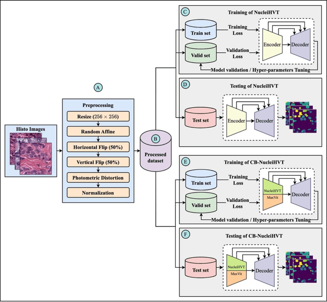 Figure 1 for Channel Boosted CNN-Transformer-based Multi-Level and Multi-Scale Nuclei Segmentation