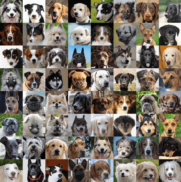 Figure 3 for DragGANSpace: Latent Space Exploration and Control for GANs