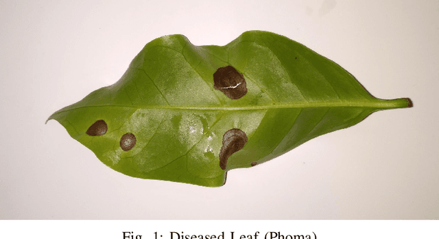 Figure 1 for Overcoming LLM Challenges using RAG-Driven Precision in Coffee Leaf Disease Remediation