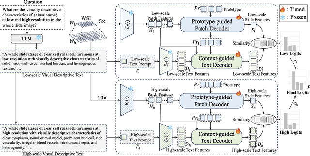 Figure 3 for ViLa-MIL: Dual-scale Vision-Language Multiple Instance Learning for Whole Slide Image Classification