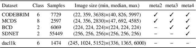 Figure 2 for dacl1k: Real-World Bridge Damage Dataset Putting Open-Source Data to the Test