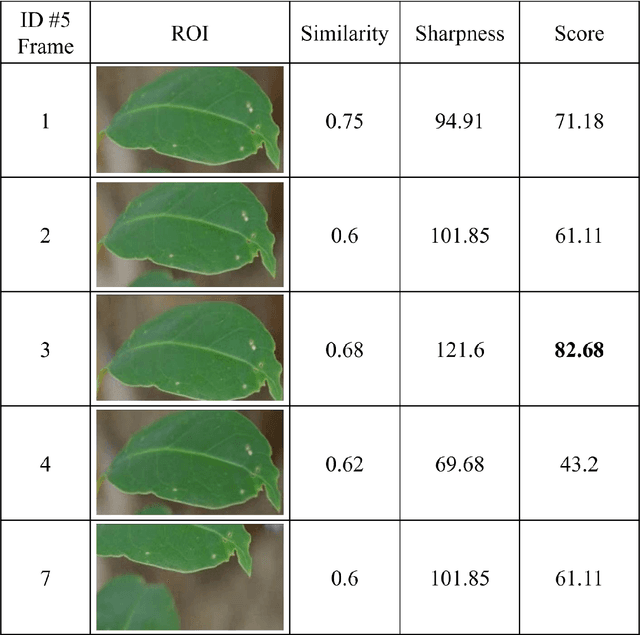 Figure 4 for Plant Doctor: A hybrid machine learning and image segmentation software to quantify plant damage in video footage