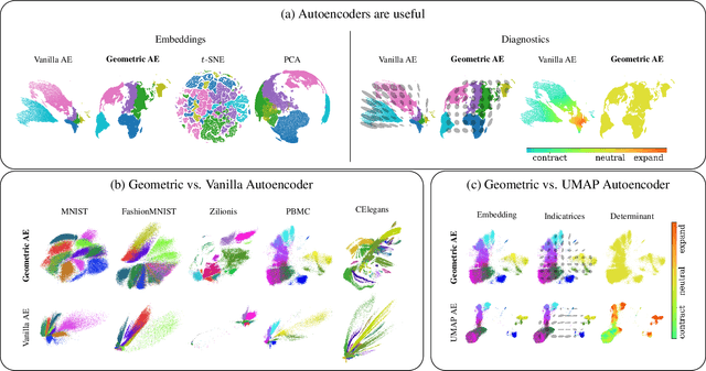 Figure 1 for Geometric Autoencoders -- What You See is What You Decode