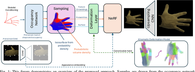 Figure 1 for HandOcc: NeRF-based Hand Rendering with Occupancy Networks