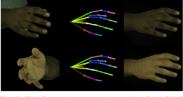 Figure 2 for HandOcc: NeRF-based Hand Rendering with Occupancy Networks