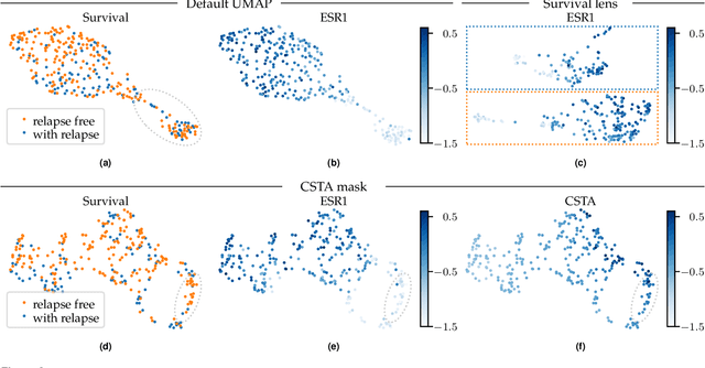 Figure 2 for Lens functions for exploring UMAP Projections with Domain Knowledge