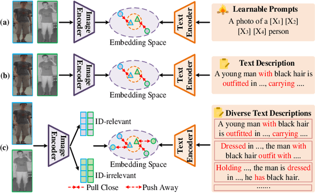 Figure 1 for Diverse Semantics-Guided Feature Alignment and Decoupling for Visible-Infrared Person Re-Identification
